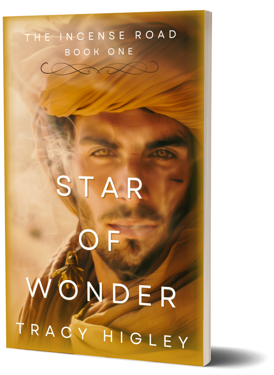 Star of Wonder (Paperback)