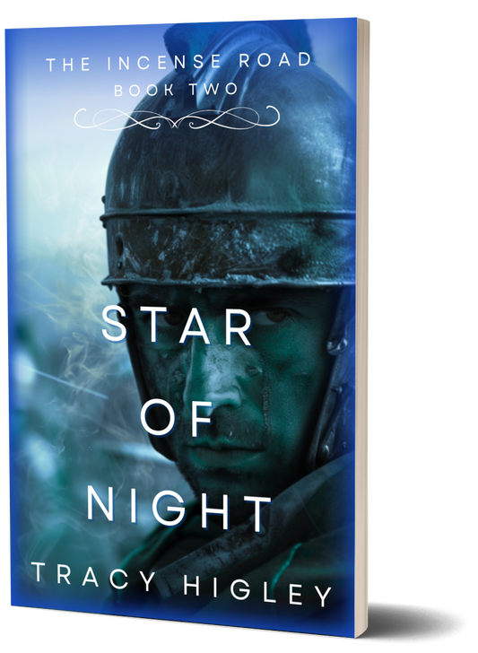 Star of Night (Paperback)