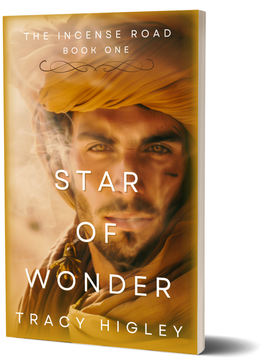 Star of Wonder (Paperback)