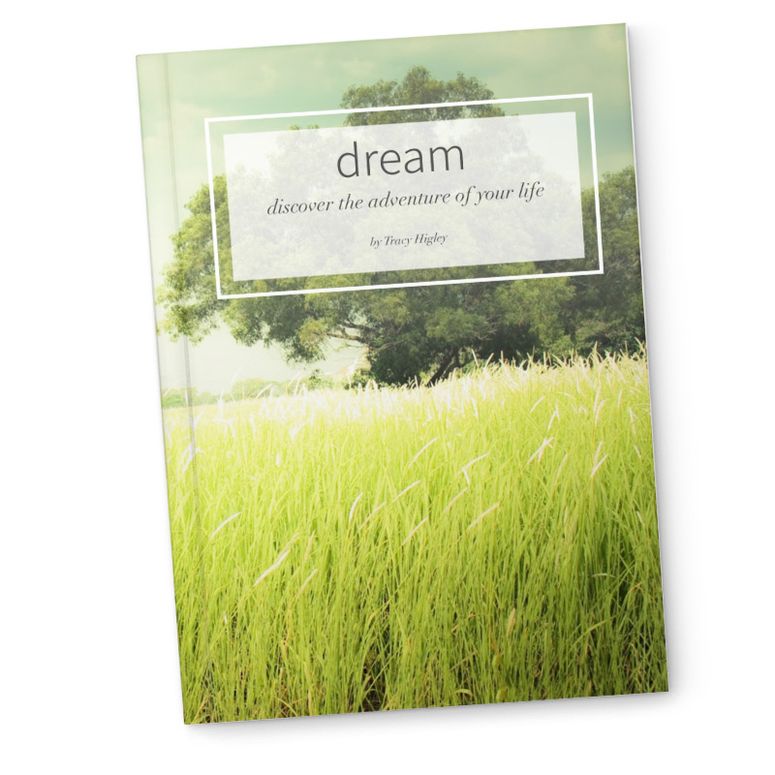 Dream Workbook